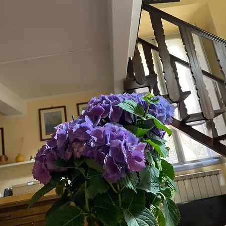 Nel Cuore Di Todi