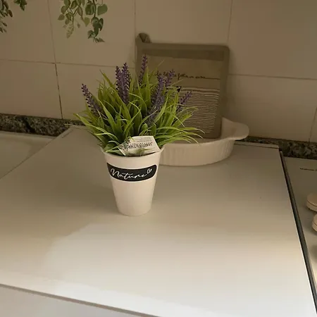 Nel Cuore Di Apartamento *