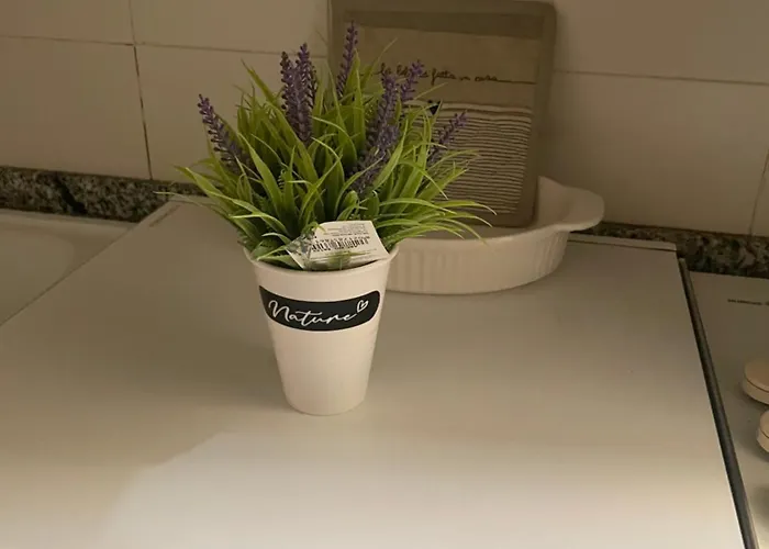 Nel Cuore Di Apartment *